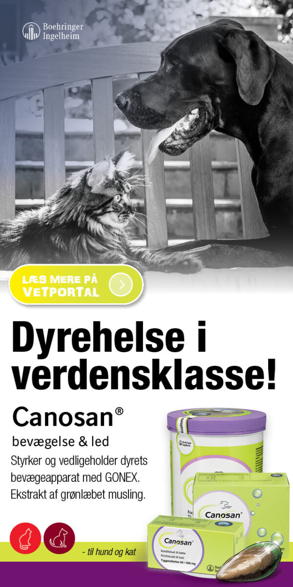 300x600 px NCC Dyrlaegen.nu