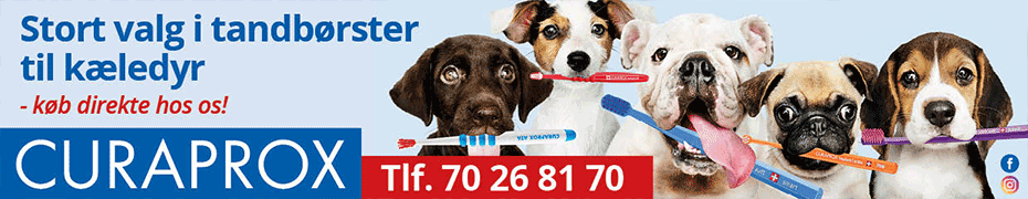 Curaprox-Banner-til-dyrlaegen