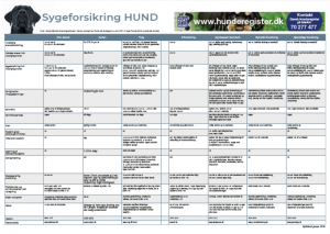 sygeforsikring hund