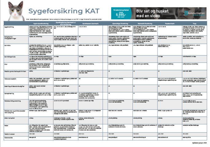 Forsikringsoversigt kat