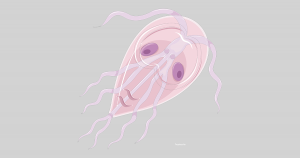 giardia-parasit